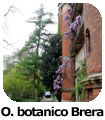 Orto botanico di Brera